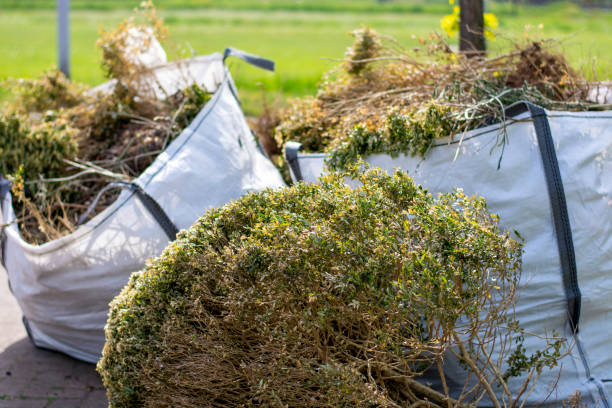Best Professional Junk Removal  in Rockvale, TN